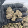 Temptation 28grams OZ SALE (Hybrid) 27.82% THC