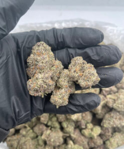 Temptation 28grams OZ SALE (Hybrid) 27.82% THC